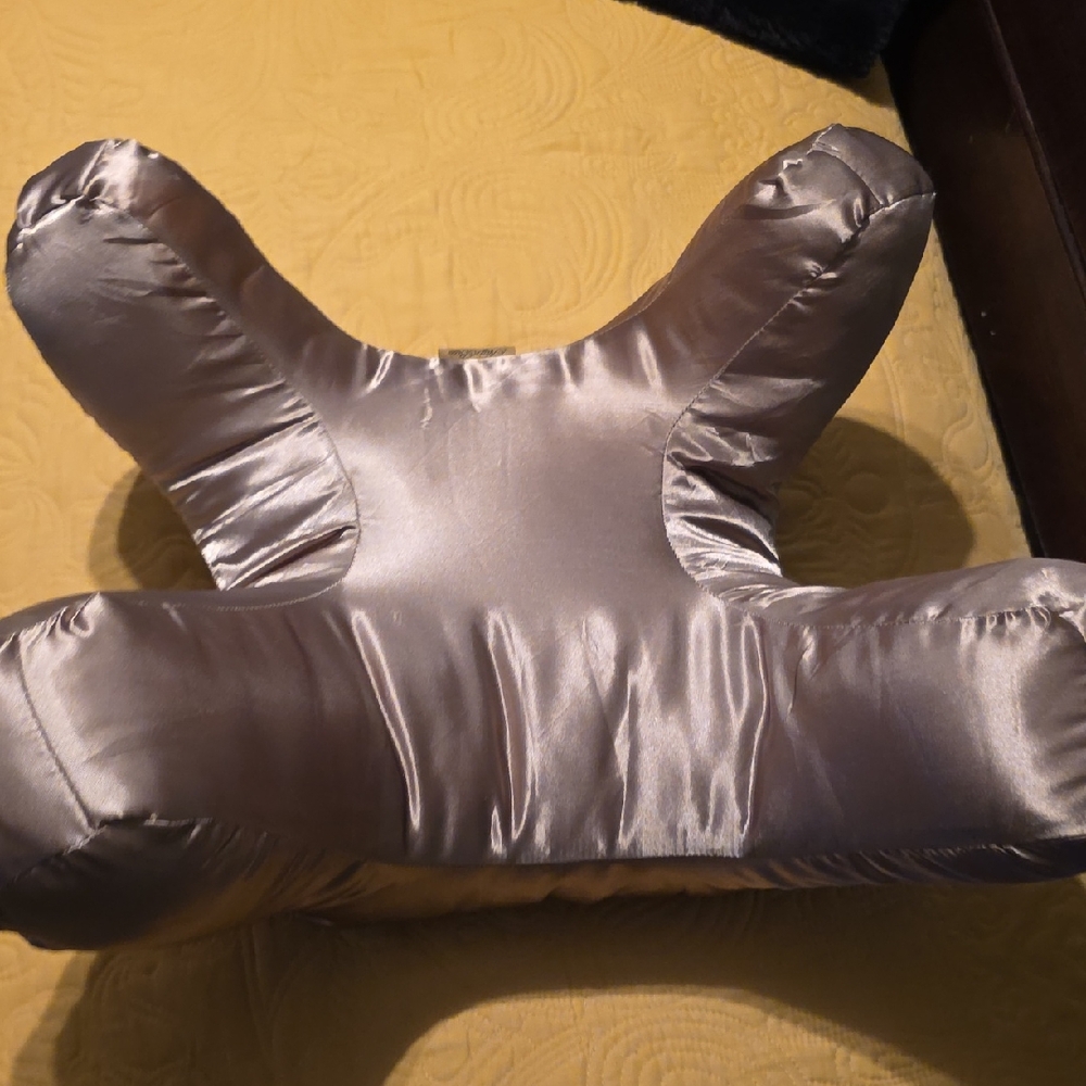 Luxurious Silver Pillow